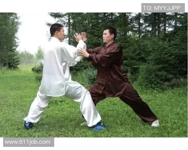 探索孙氏73式太极拳的精髓与传承之道，感受中华武术的魅力与智慧